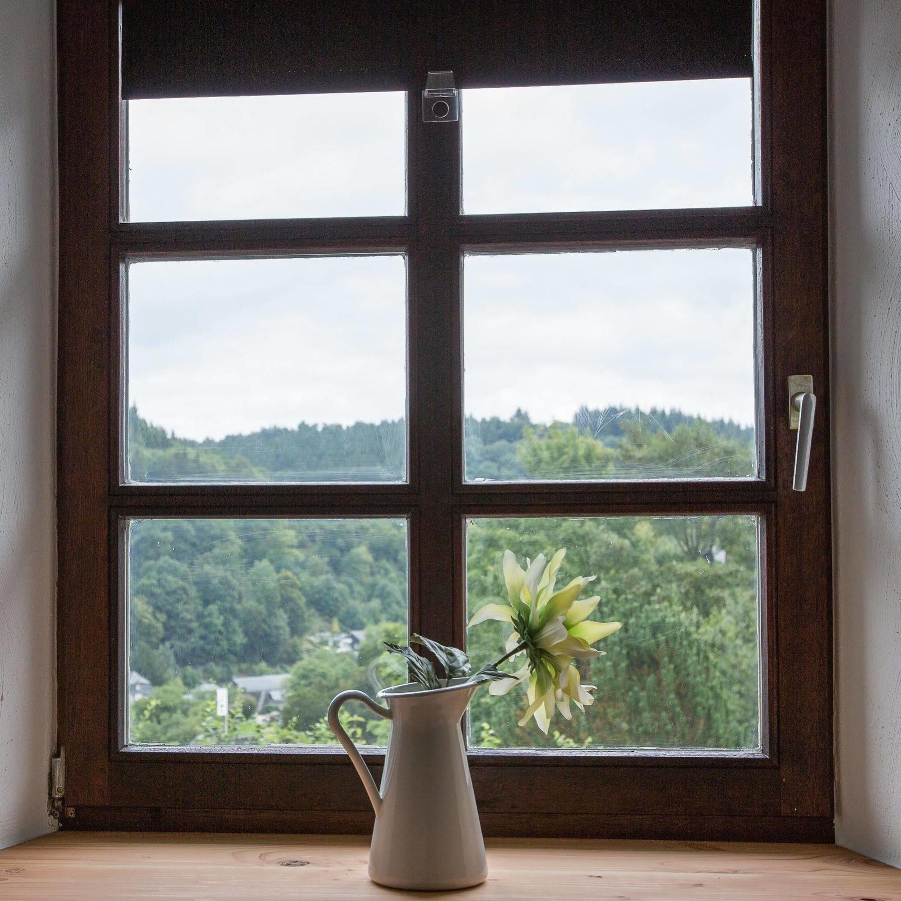 Felsenhaeuschen Apartment Monschau Ngoại thất bức ảnh